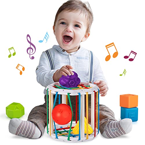 LOTOY Montessori Toys for 1 Year Old Boy Girl Birthday Gifts,Baby Toys 6-12-18 Months Girl Boy Stuff,Baby Shape Sorter Sensory Bin Toddler Toys Age 1-2,Infant Toys 6-12 Months Baby Rattle Blocks